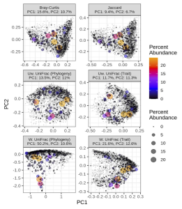 Genome-based Diversity Provides New Insight Into Human Gut Microbiome ...