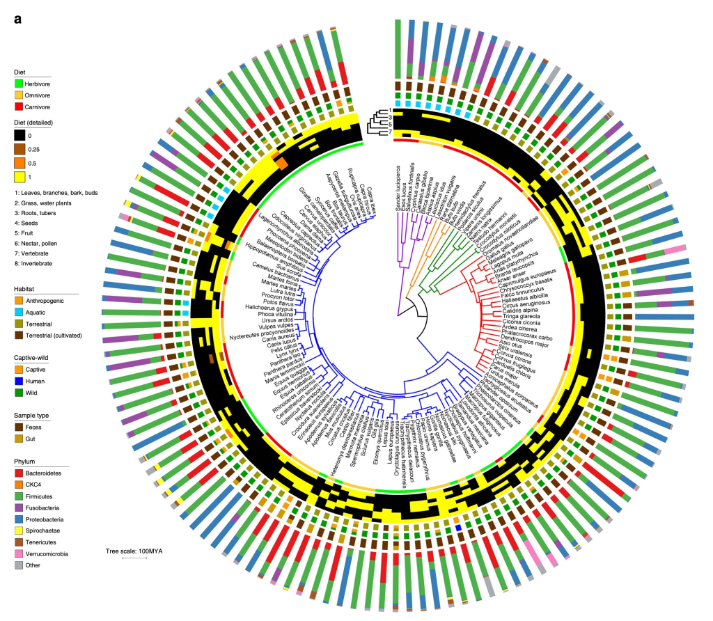 New Paper: Vertebrate microbiome is influenced by diet and evolutionary