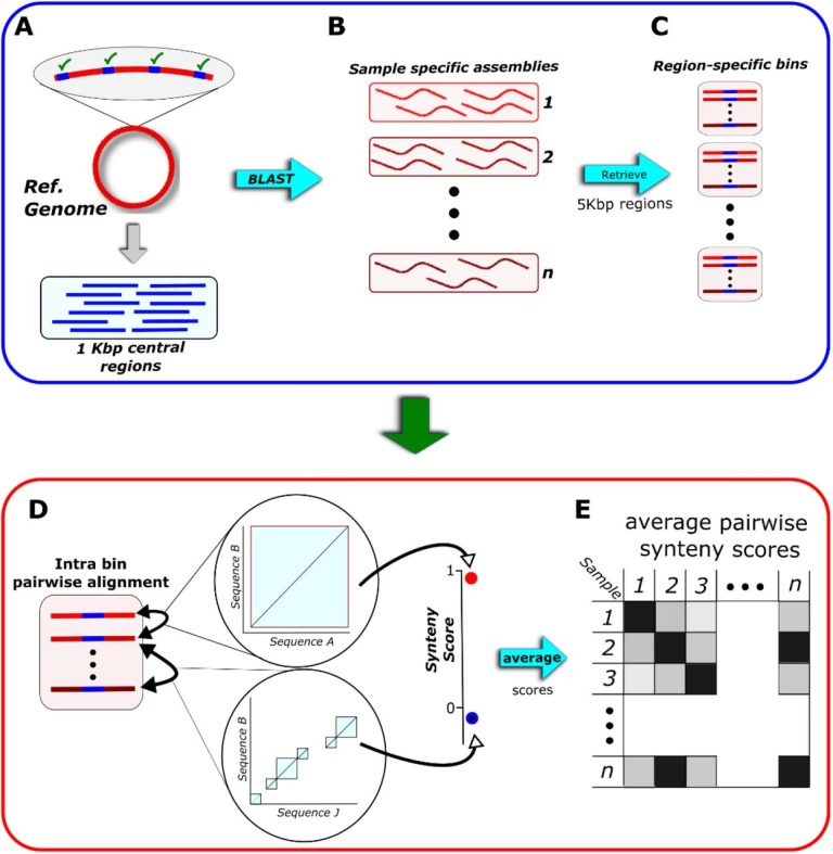 SynTracker: a pipeline to track closely related microbial strains using ...