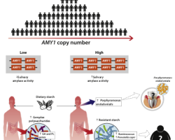 448A7B9C-9995-4FFB-A3B1-03E423AA36F6