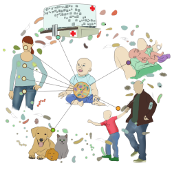 Microbiome_evolution_fixed