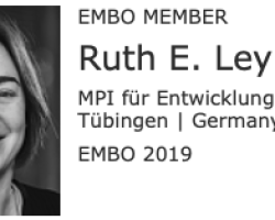 Screen_Shot_2019-06-12_at_3.33.07_pm