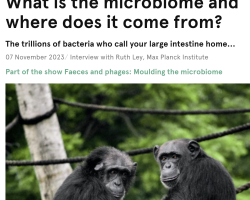 Screenshot 2023-11-12 at 15.21.07