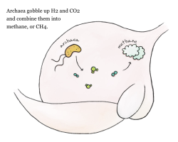 Screenshot 2024-08-29 at 12.38.43