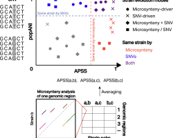 Screenshot 2024-09-26 at 09.20.19