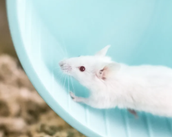 Screenshot 2025-11-14 at 15.38.56