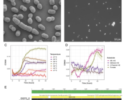 Screenshot 2026-03-23 at 11.45.32