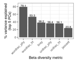 Screenshot_2020-07-21_at_16.44.28