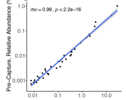 Screenshot_2020-07-21_at_16.50.53