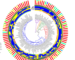 Screenshot_2020-11-11_at_09.27.40