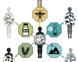 Screenshot_2020-12-04_at_09.23.14