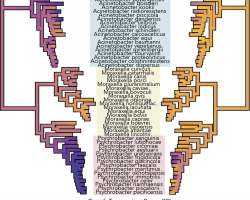 Screenshot_2021-04-21_at_18.45.11