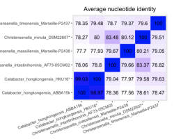 Screenshot_2021-04-21_at_19.00.35