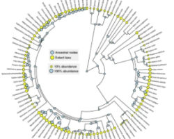 Screenshot_2021-10-29_at_09.46.07