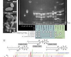 Xnip2021-05-01_10-17-38