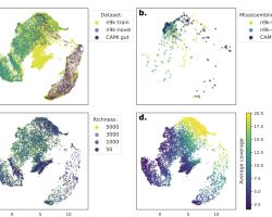 Xnip2022-07-09_13-03-53
