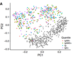 csm_PCAIG_f81025441b