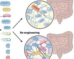 csm_Xnip2023-07-28_08-33-50_7bb841ca1c