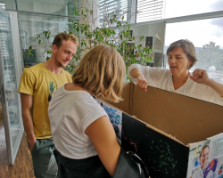 diversity_day_experience